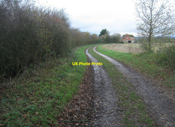Photo 6"x4" Farm track near Breach Farm Cottages Pardown c2015