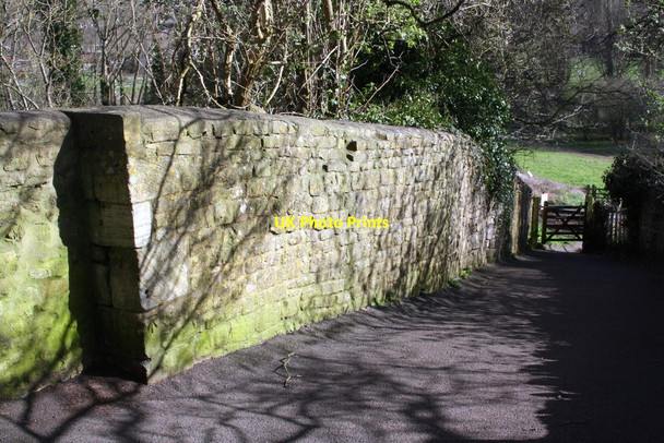 Photo 6"x4" Path from Barton Orchard towards railway Bradford-On-Avon c2015