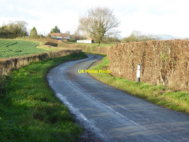 Photo 6"x4" Quay Lane, Earl's Croome Earl's Croome c2015