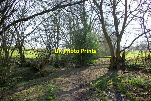 Photo 6"x4" Gate on public footpath Butcher's Cross c2007