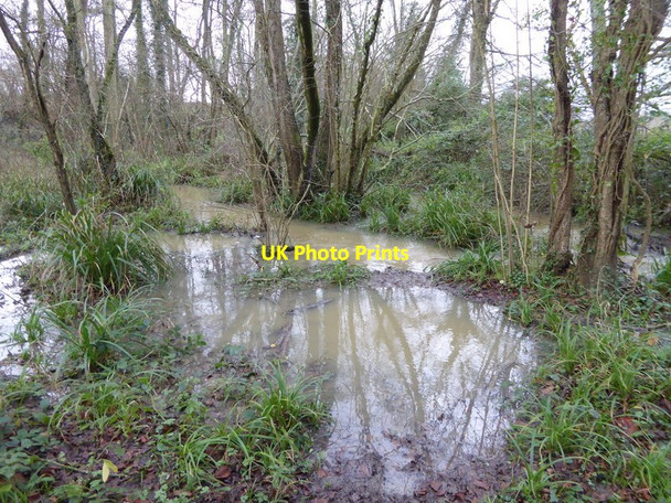 Photo 6"x4" Path and stream merge in The Hanger Billingshurst c2015