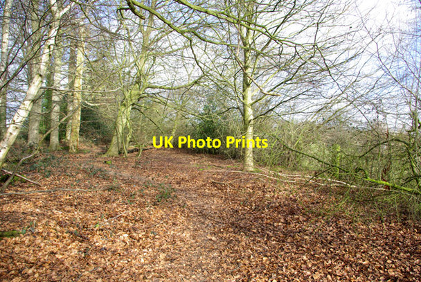 Photo 6"x4" Path towards Pembury Henwood Green c2007