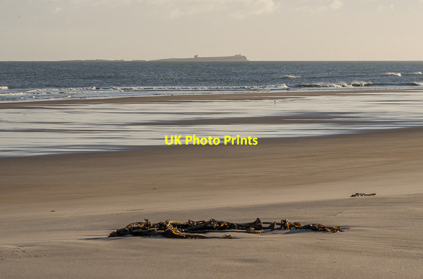 Photo 6"x4" Ross Back Sands Ross\/NU1337 c2015 P1