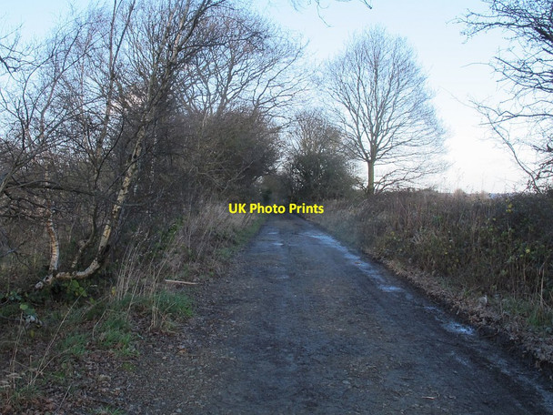Photo 6"x4" Priesthorpe Lane, looking north Pudsey\/SE2233 c2015