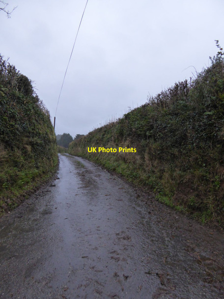 Photo 6"x4" Uppaton Lane Ivybridge\/SX6356 c2015