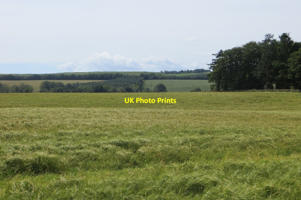 Photo 6"x4" Barley near Lochmaben Lochmaben c2015