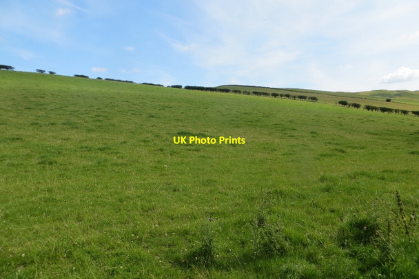 Photo 6"x4" Field, Shieldhill Nethermill\/NY0487 c2015