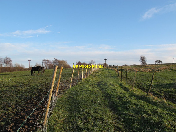 Photo 6"x4" Footpath with horses Thornbury\/SE1934 c2015