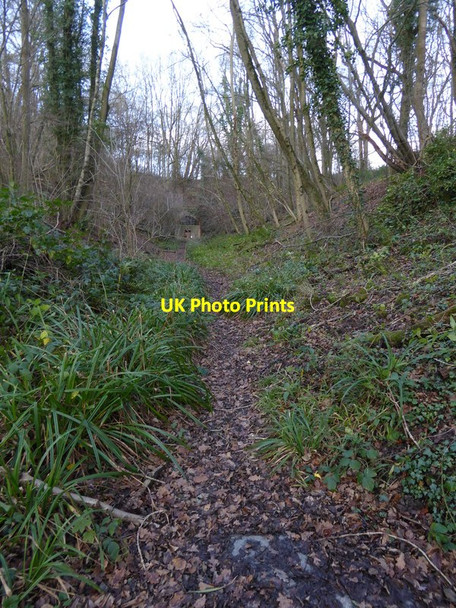 Photo 6"x4" Disused railbed by the Downs Link Cox Green\/TQ0934 c2015