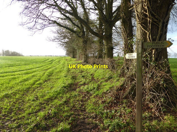Photo 6"x4" Field edge footpath Bucks Green c2015