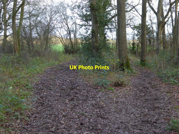 Photo 6"x4" Bridleway going east through woodland towards Barnsfold Bucks Green c2015