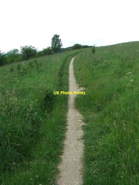 Photo 6"x4" Clear Path Boltby c2015