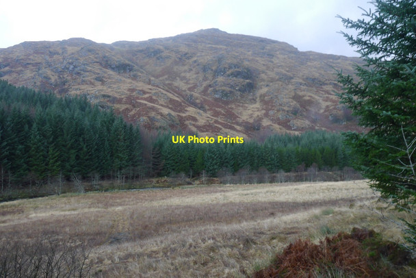 Photo 6"x4" Former field, Gleann Dubh-lighe Gleann Dubh Lighe c2015