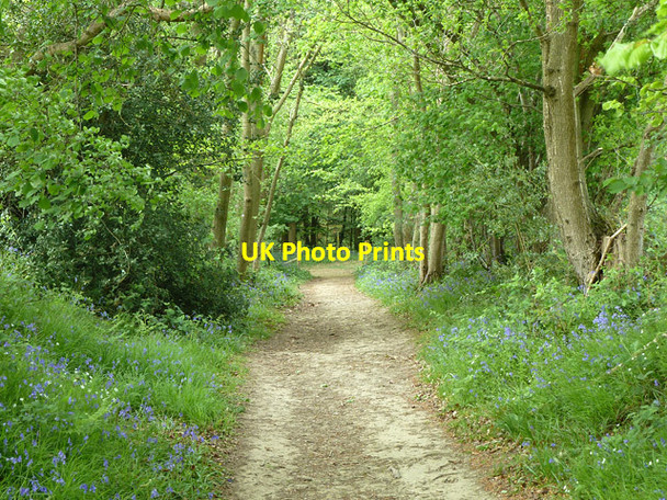 Photo 6"x4" Track towards Burrs Wood Stone Cross\/TQ5238 c2011