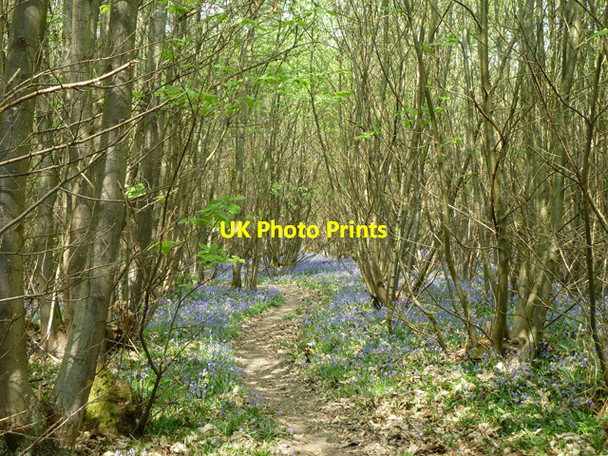 Photo 6"x4" Path in Newpark Wood Stone Cross\/TQ5238 c2011