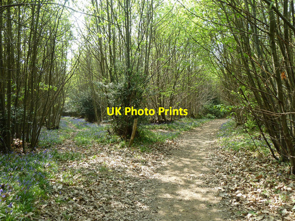 Photo 6"x4" Path junction, Newpark Wood Stone Cross\/TQ5238 c2011