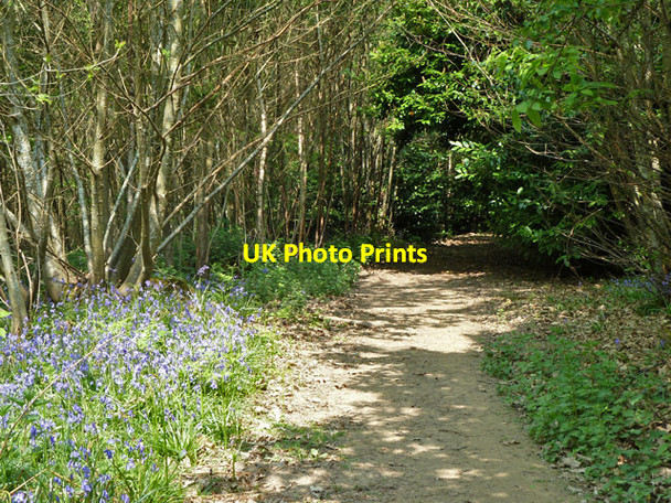 Photo 6"x4" Public footpath, Newpark Wood Stone Cross\/TQ5238 c2011