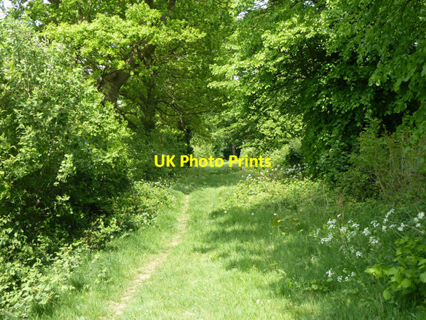 Photo 6"x4" Tunbridge Wells Circular Walk Stone Cross\/TQ5238 c2011