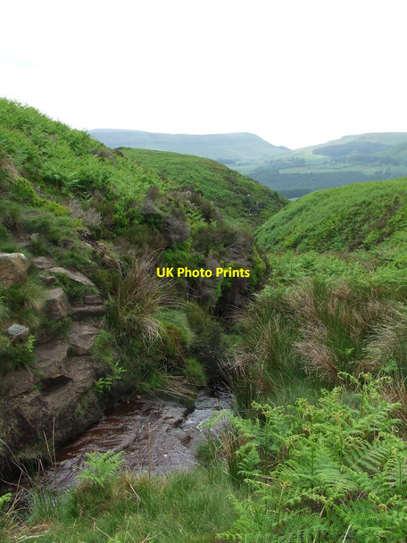 Photo 6"x4" Bils Dale Beck Urra c2015