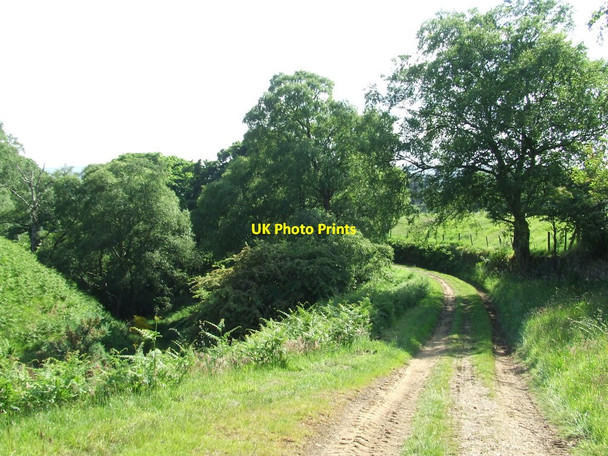 Photo 6"x4" Green Track Seave Green c2015