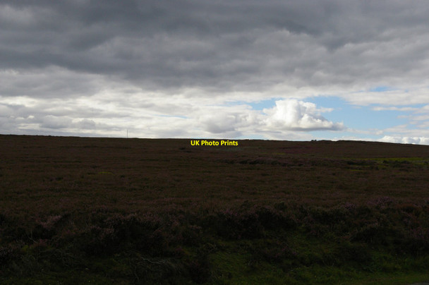 Photo 6"x4" East Moors: Brown Hill East Moors\/SE6093 c2015