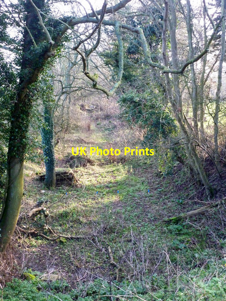 Photo 6"x4" Course of old railway Hythe\/TR1634 c2015