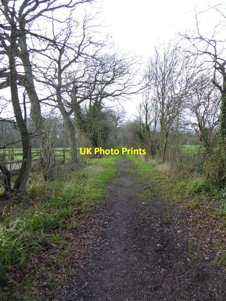 Photo 6"x4" Bridleway goes west from Five Oaks Farm Five Oaks c2015