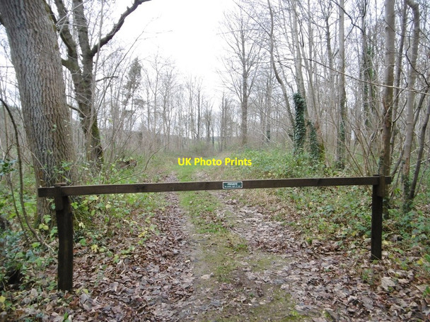 Photo 6"x4" Manswood, gateway Manswood c2015