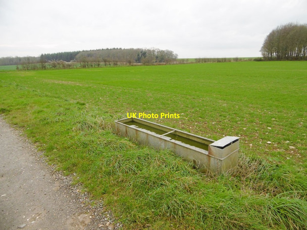 Photo 6"x4" Tarrant Monkton, trough Manswood c2015