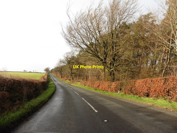 Photo 6"x4" Spine road on Staple Hill Blackwater\/ST2615 c2015