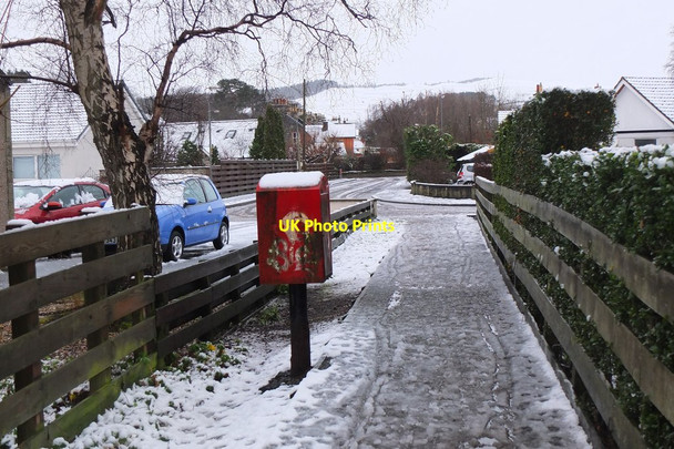 Photo 6"x4" Footpath to South Parks, Peebles Peebles\/NT2540 c2015