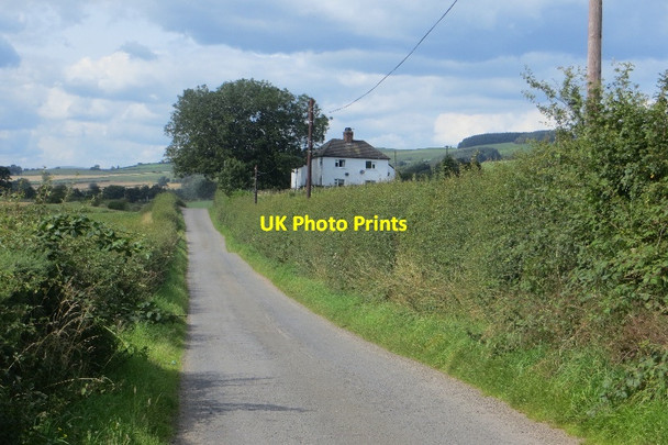 Photo 6"x4" Low Road Torthorwald c2015