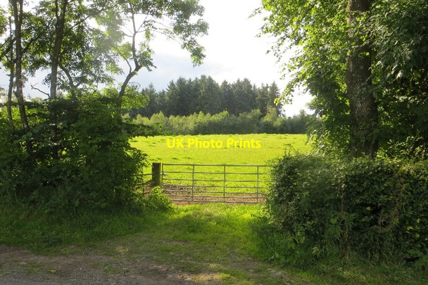 Photo 6"x4" Gate, Gamerigg Nethermill\/NY0487 c2015