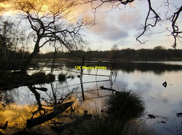 Photo 6"x4" Rickety fence, Upper Pen Pond Kingston Upon Thames c2015