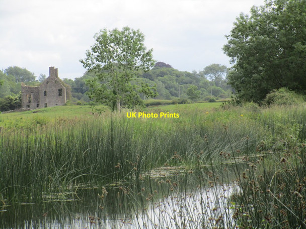 Photo 6"x4" Ballyshiel Castle  and the Grand Canal Belmont\/N0722 c2015
