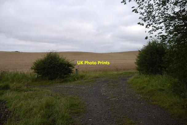 Photo 6"x4" Wheat field New Heaton c2015