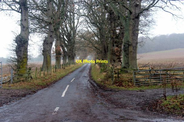 Photo 6"x4" Minor road leading to Maxton Ancrum c2015