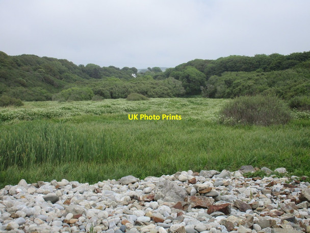 Photo 6"x4" Valley above Aber Bach Granston c2015