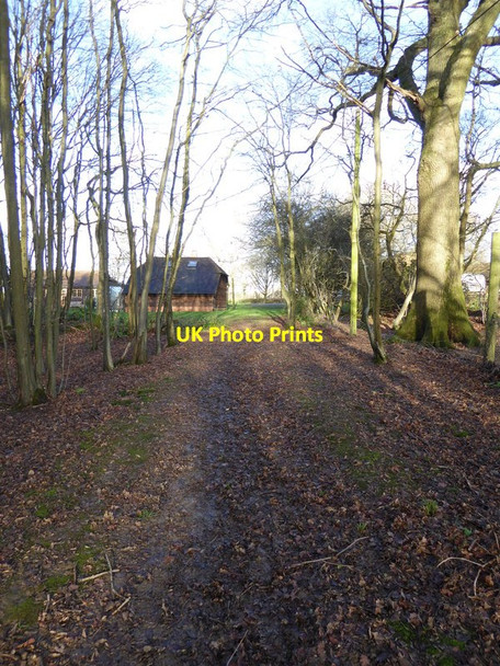 Photo 6"x4" Bridleway leaves woodland on way north towards Rowhook Rowhook c2015