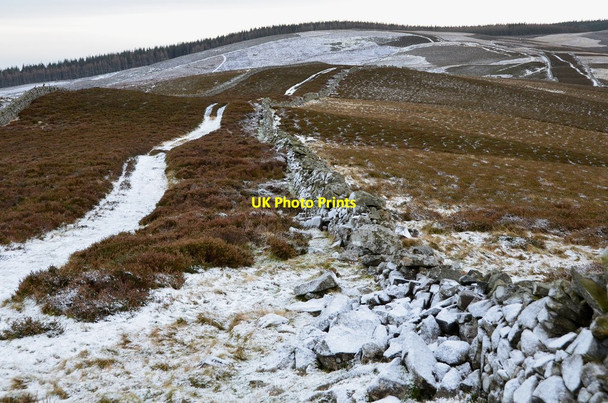Photo 6"x4" Old Drove Road approaching Kailzie Hill Laverlaw c2016