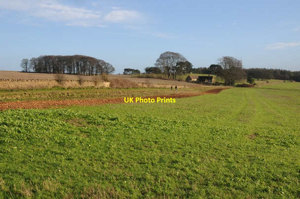 Photo 6"x4" Farmland  around Lalu Farm Conderton c2015