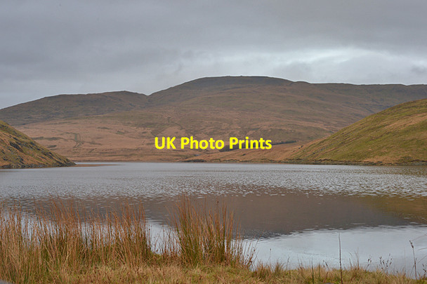 Photo 6"x4" Plynlimon in early January Bryn Gwyn\/SN7486 c2016