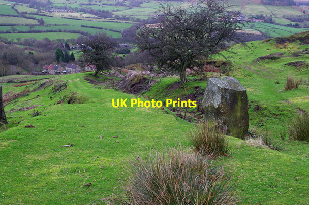 Photo 6"x4" Thorgill Bank Thorgill c2015