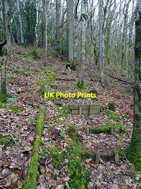 Photo 6"x4" A 'flight' of steps in Pant Da woods Nantyronen Station c2016