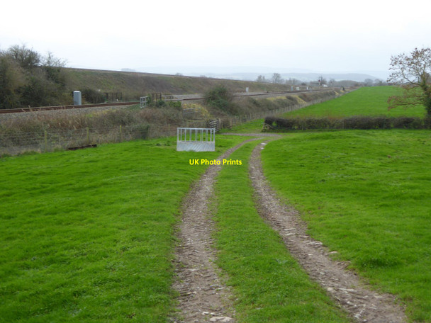 Photo 6"x4" Track across field between canal and railway, Cogload Outwood\/ST3028 c2015