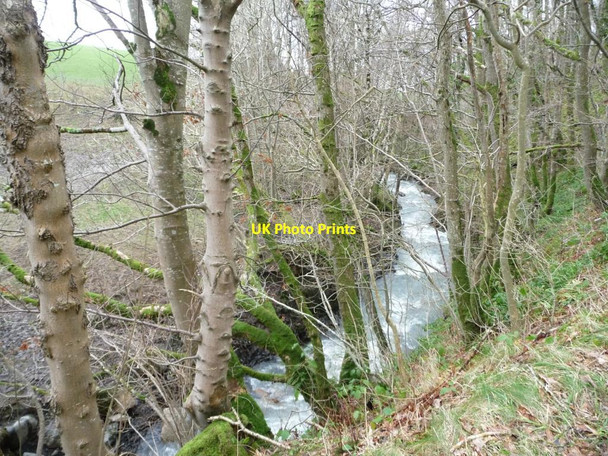 Photo 6"x4" Chapel Beck, downstream of Walk Mill Bridge Bassenthwaite c2016