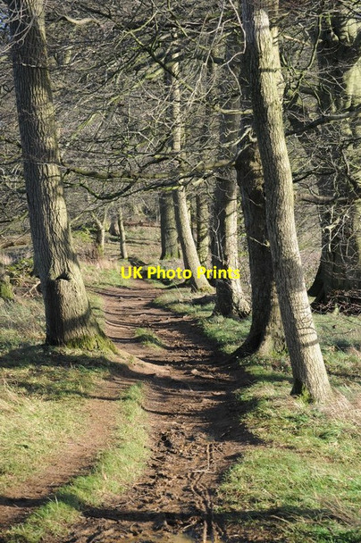 Photo 6"x4" Footpath above The Warren Bredon's Norton c2015