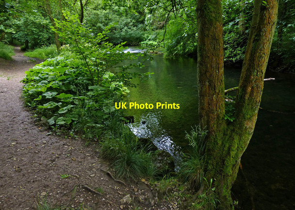 Photo 6"x4" Path along the River Dove in Dovedale Ilam c2014