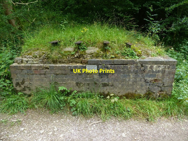Photo 6"x4" The old Ram Pump House Ilam c2014