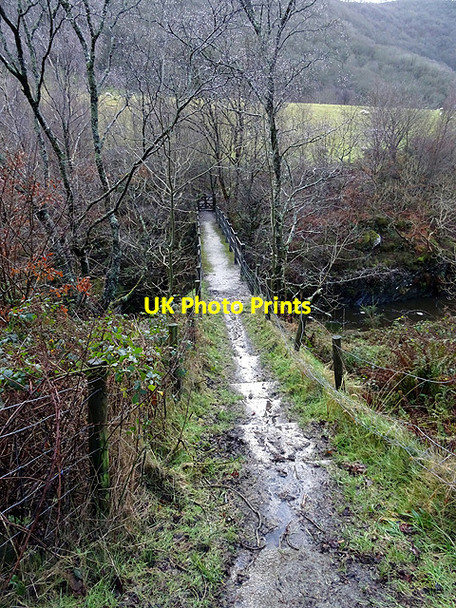Photo 6"x4" Footbridge over Afon Rheidol Ystumtuen c2016